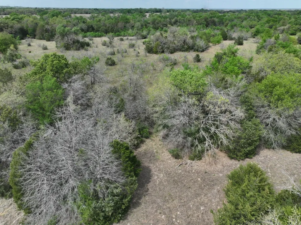 Mitchell Road Kosse, TX 76653