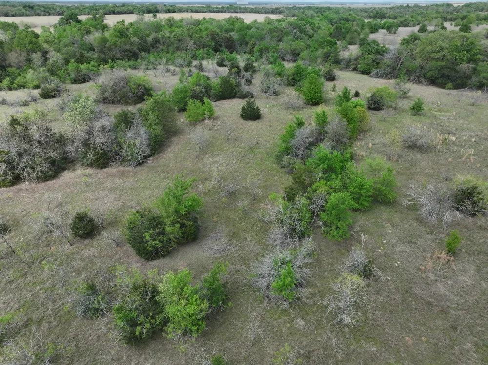 Mitchell Road Kosse, TX 76653