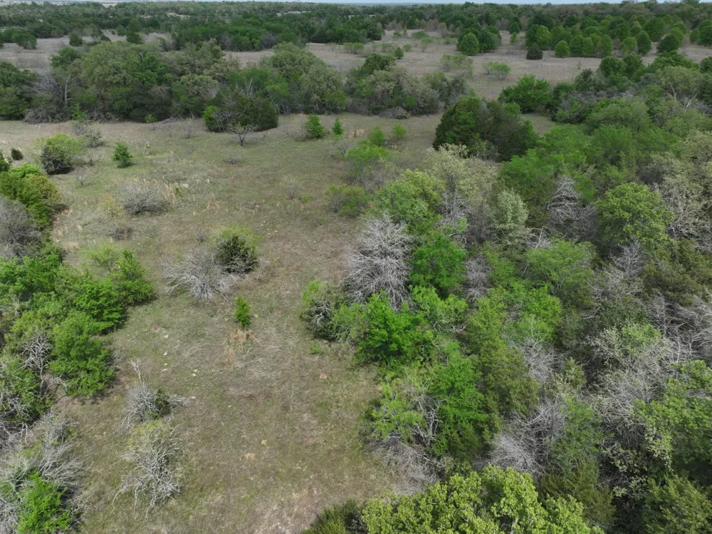 Mitchell Road Kosse, TX 76653