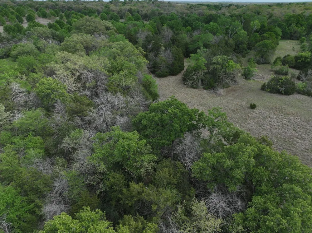 Mitchell Road Kosse, TX 76653