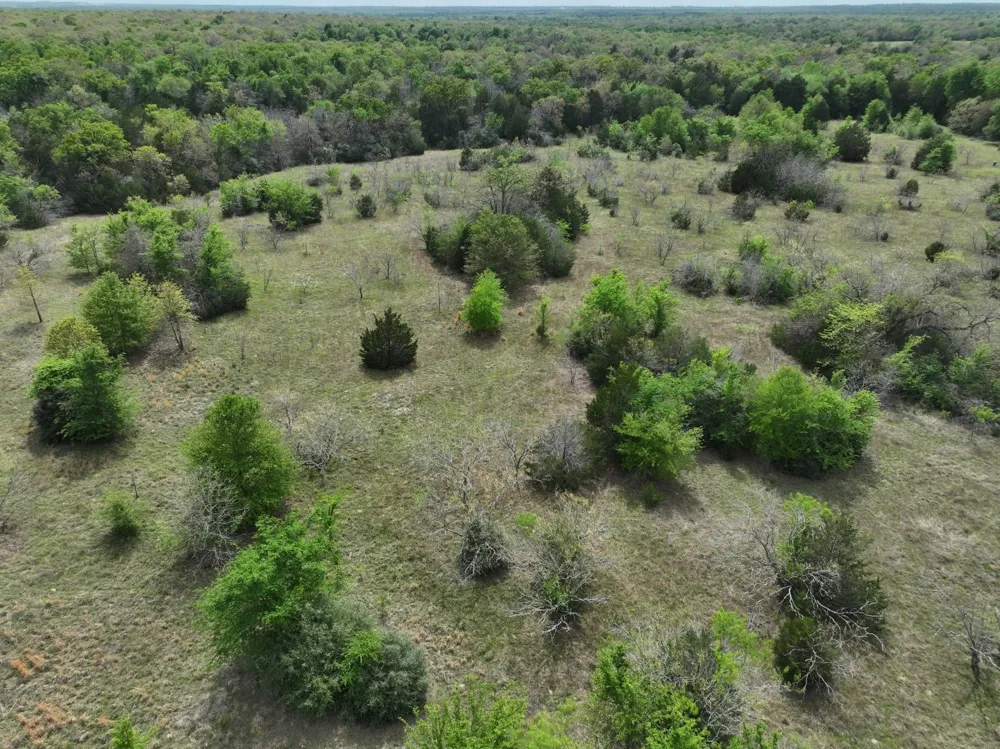 Mitchell Road Kosse, TX 76653