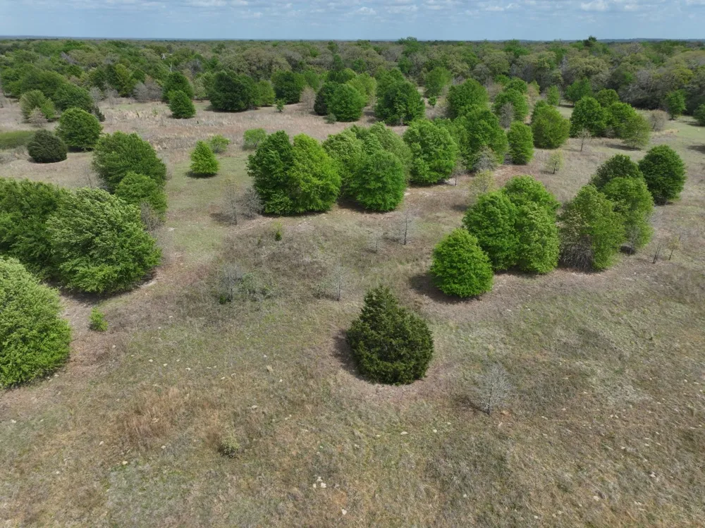 Mitchell Road Kosse, TX 76653