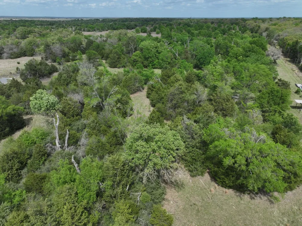Mitchell Road Kosse, TX 76653