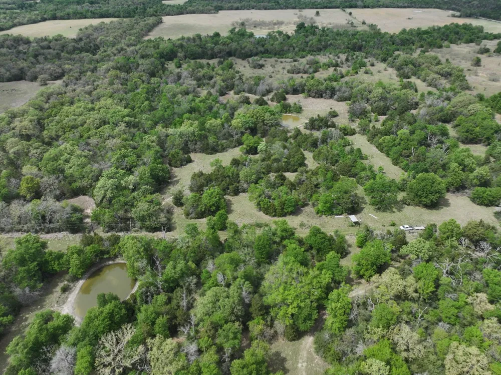 Mitchell Road Kosse, TX 76653