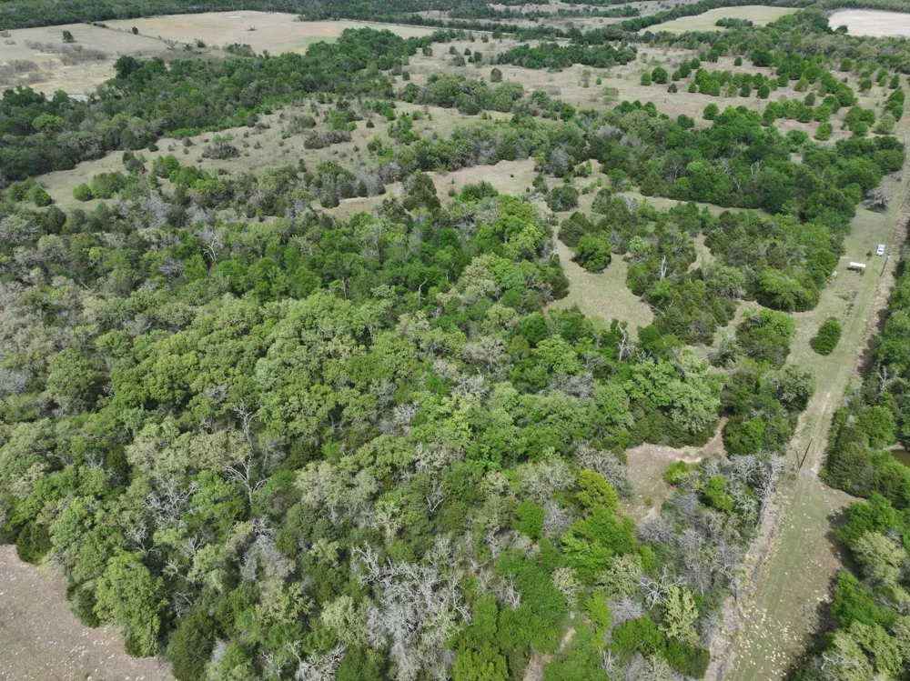 Mitchell Road Kosse, TX 76653