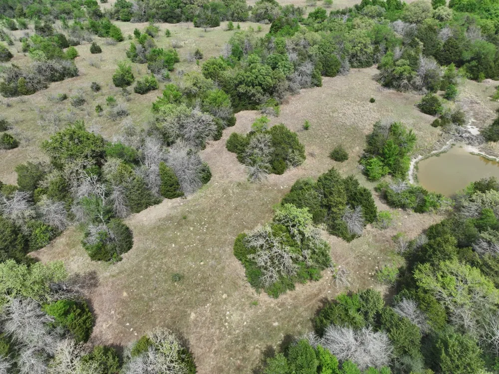 Mitchell Road Kosse, TX 76653
