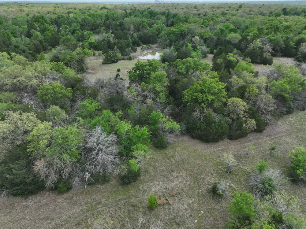 Mitchell Road Kosse, TX 76653