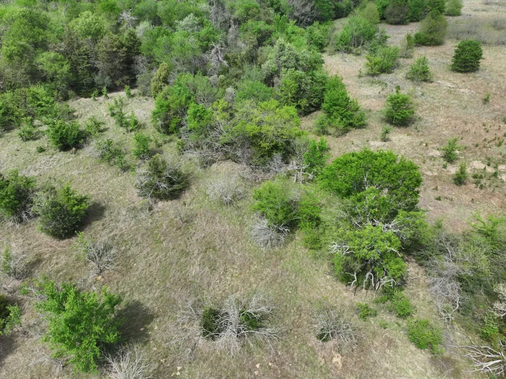 Mitchell Road Kosse, TX 76653