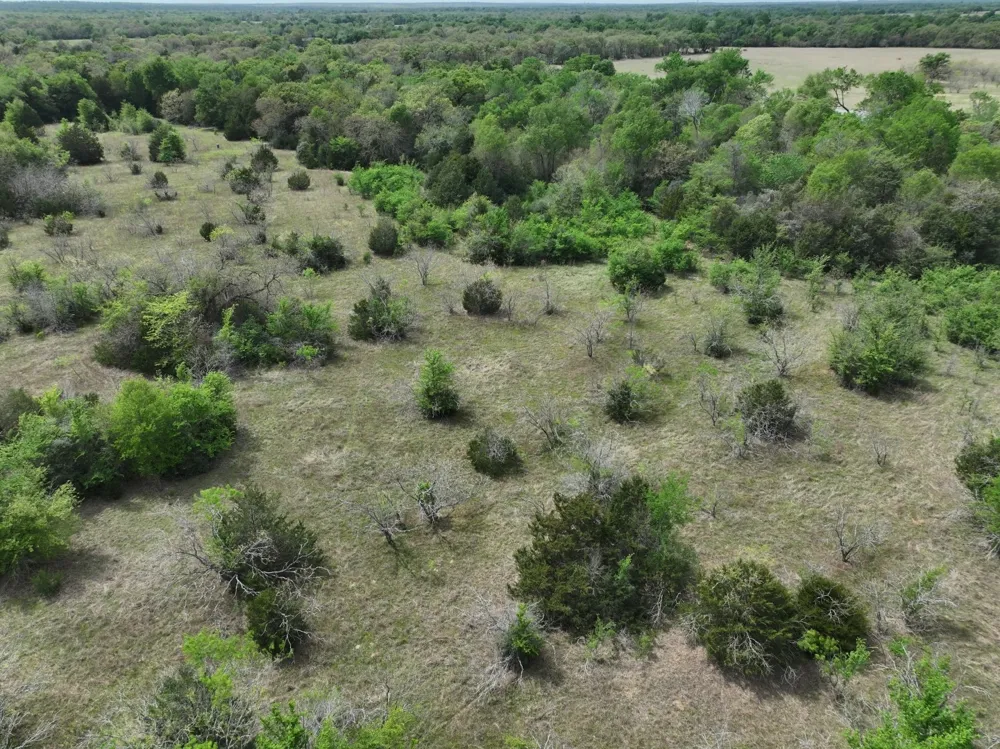 Mitchell Road Kosse, TX 76653