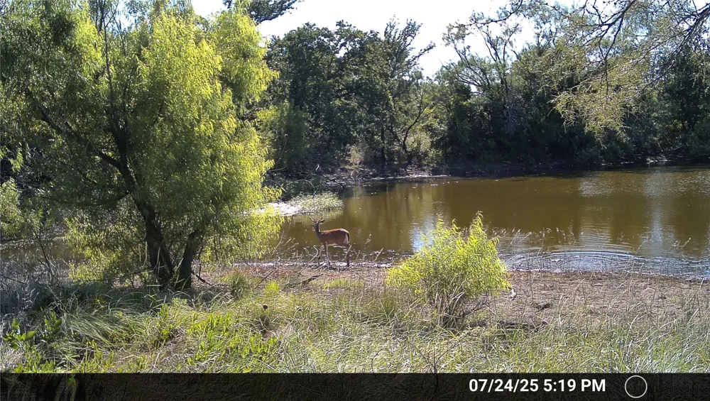 Wayland Ranches Breckenridge, TX 76424