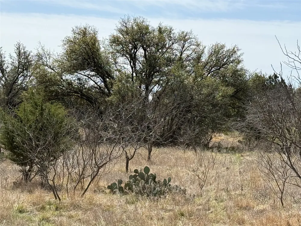 Wayland Ranches Breckenridge, TX 76424