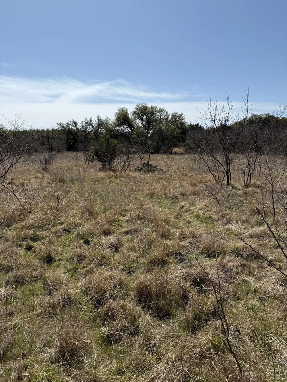 Wayland Ranches Breckenridge, TX 76424