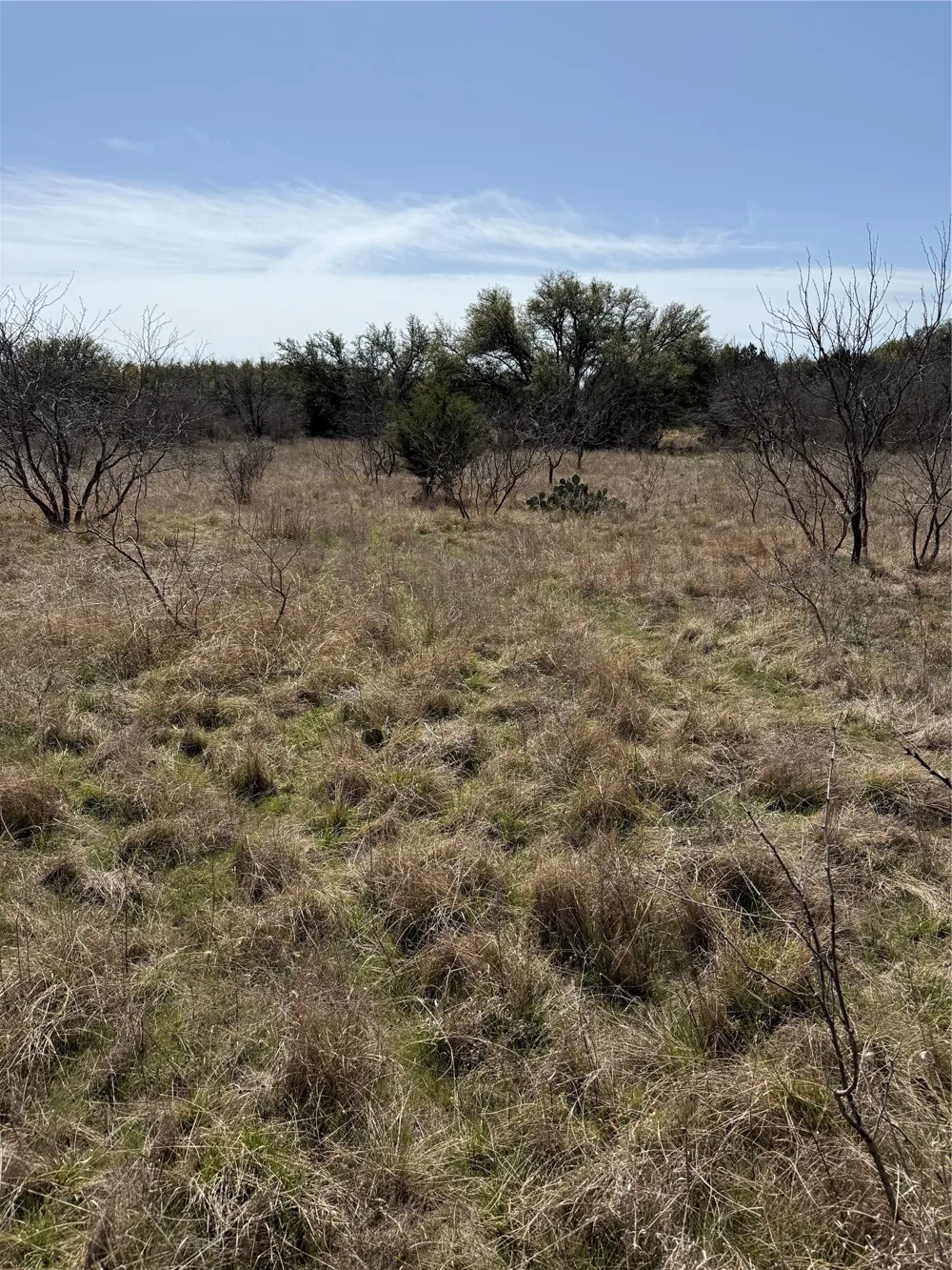 Wayland Ranches Breckenridge, TX 76424