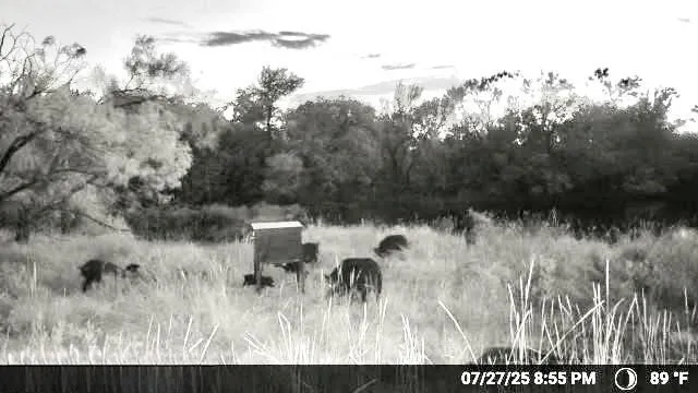 Wayland Ranches Breckenridge, TX 76424