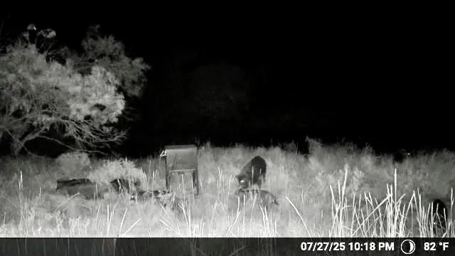 Wayland Ranches Breckenridge, TX 76424