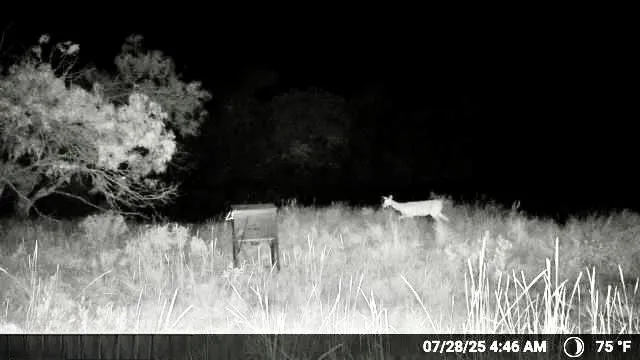 Wayland Ranches Breckenridge, TX 76424