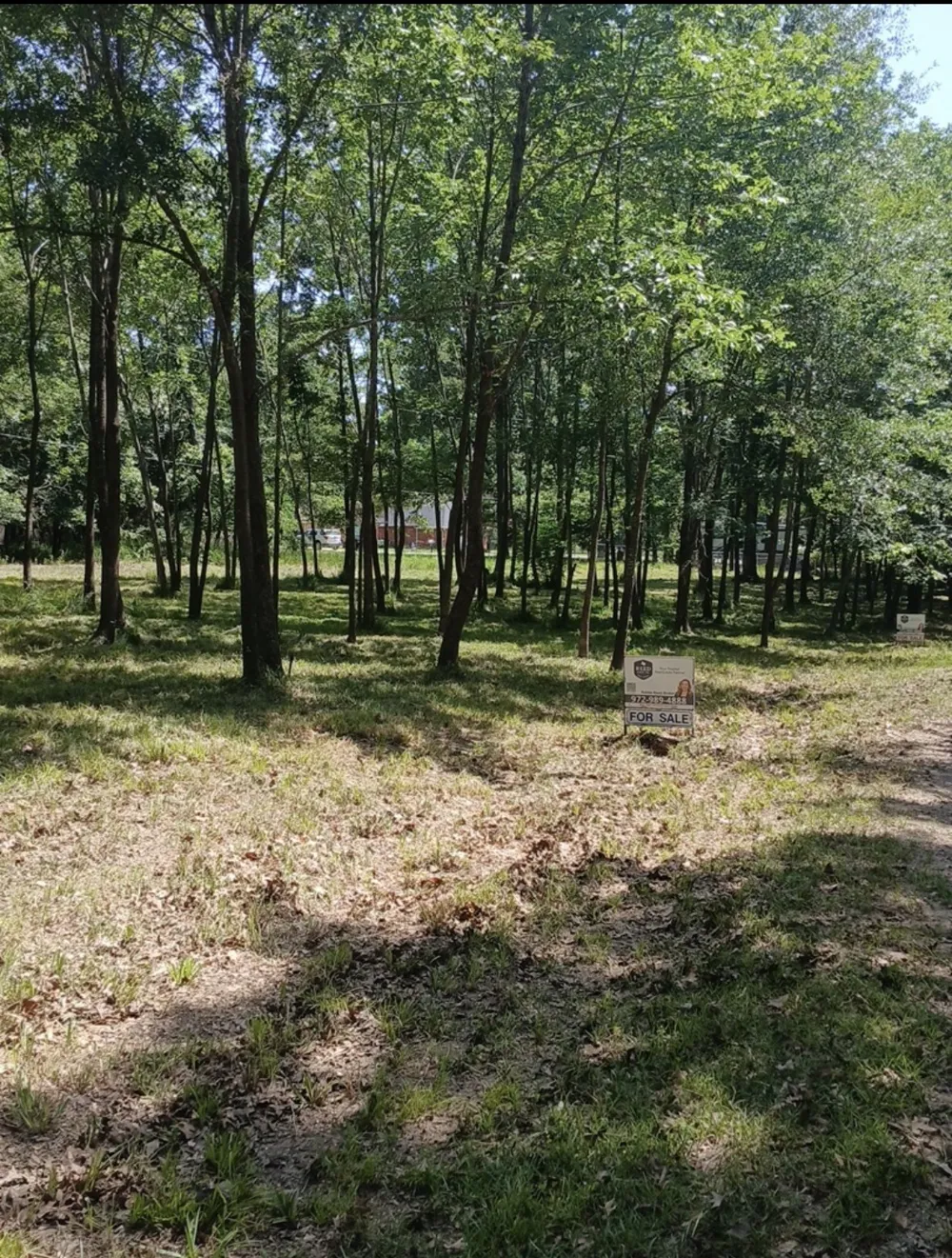 300 Lakeside Drive #304, 308 West Tawakoni, TX 75474