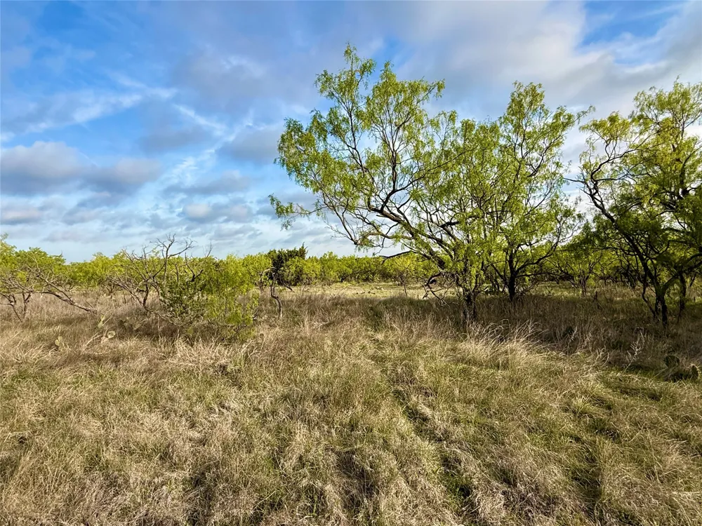 CR 253 Comanche, TX 76442