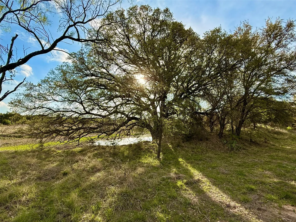CR 253 Comanche, TX 76442