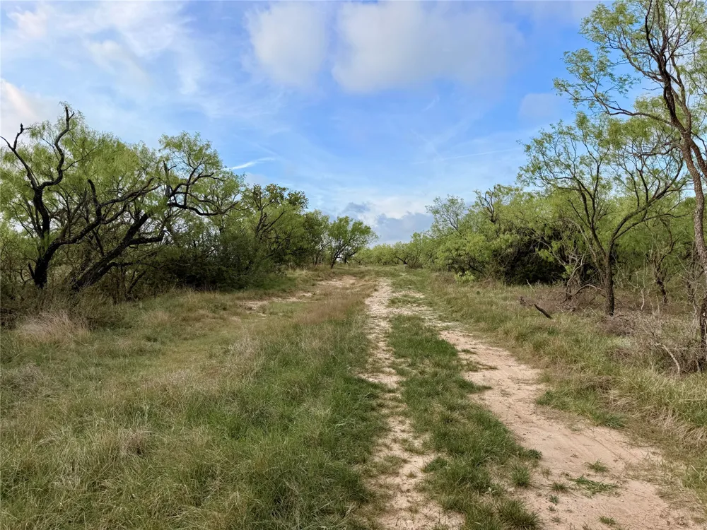 CR 253 Comanche, TX 76442