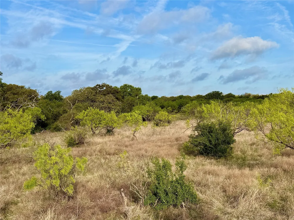CR 253 Comanche, TX 76442