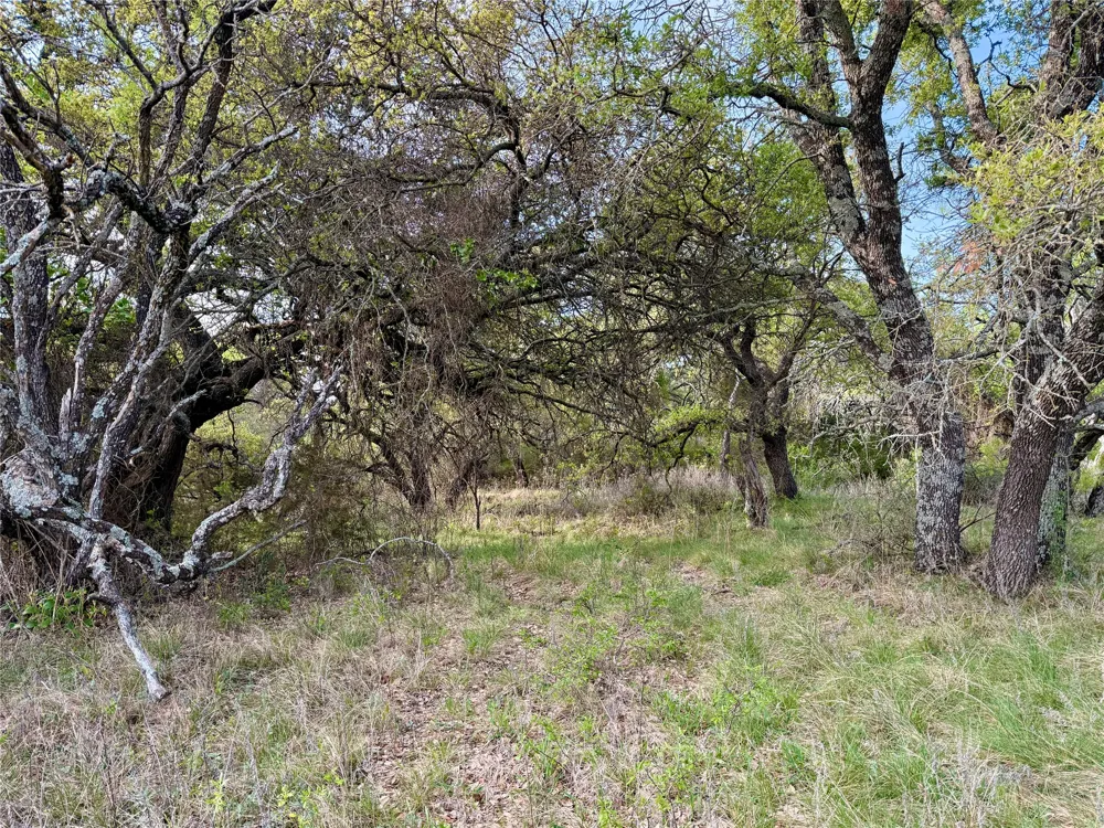CR 253 Comanche, TX 76442