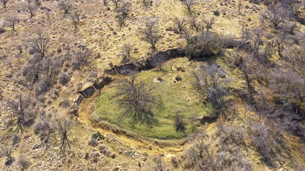 FM 880 Moran, TX 76464
