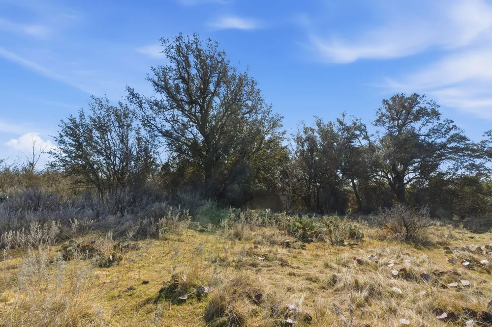 FM 880 Moran, TX 76464