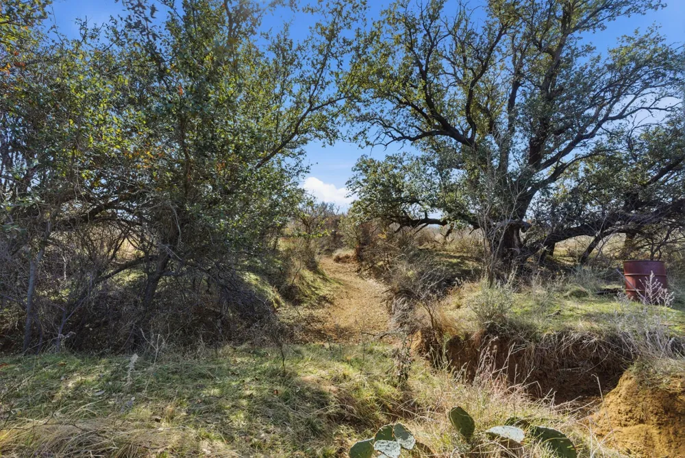 FM 880 Moran, TX 76464