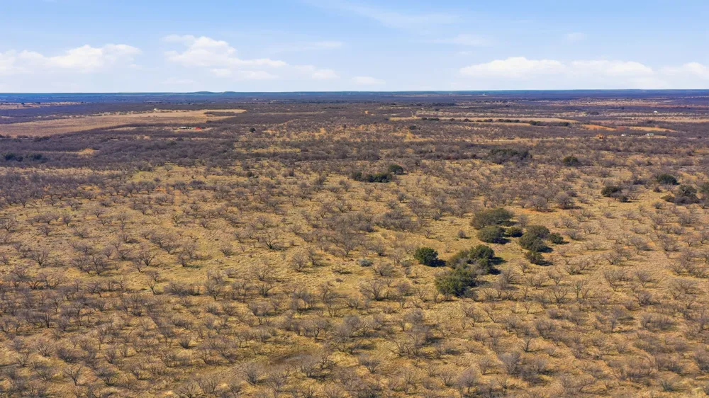 FM 880 Moran, TX 76464