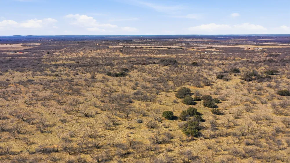 FM 880 Moran, TX 76464