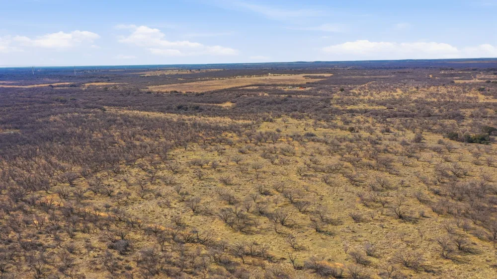FM 880 Moran, TX 76464