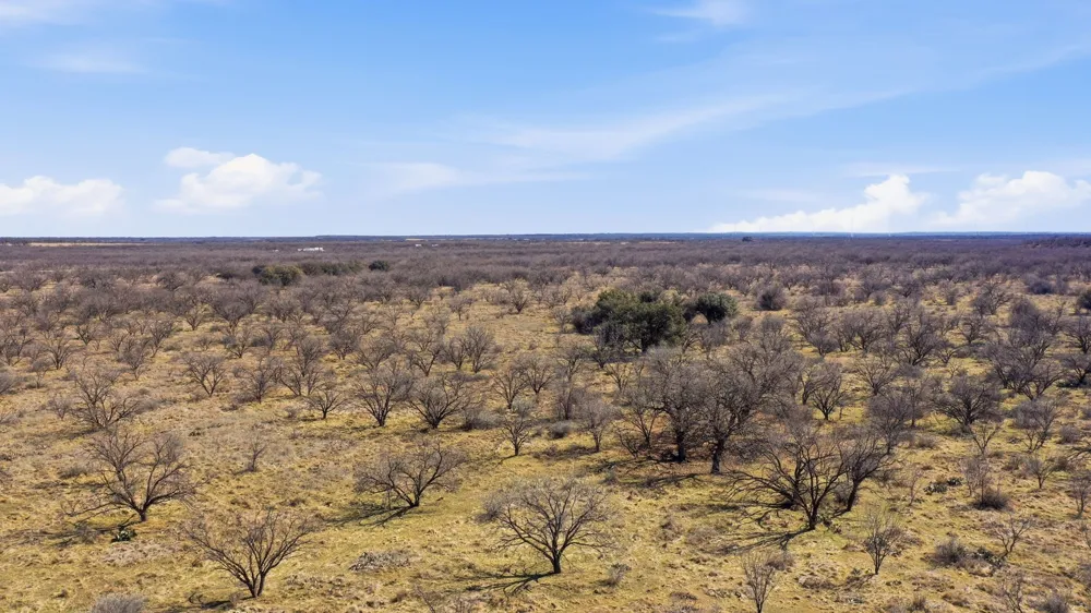 FM 880 Moran, TX 76464