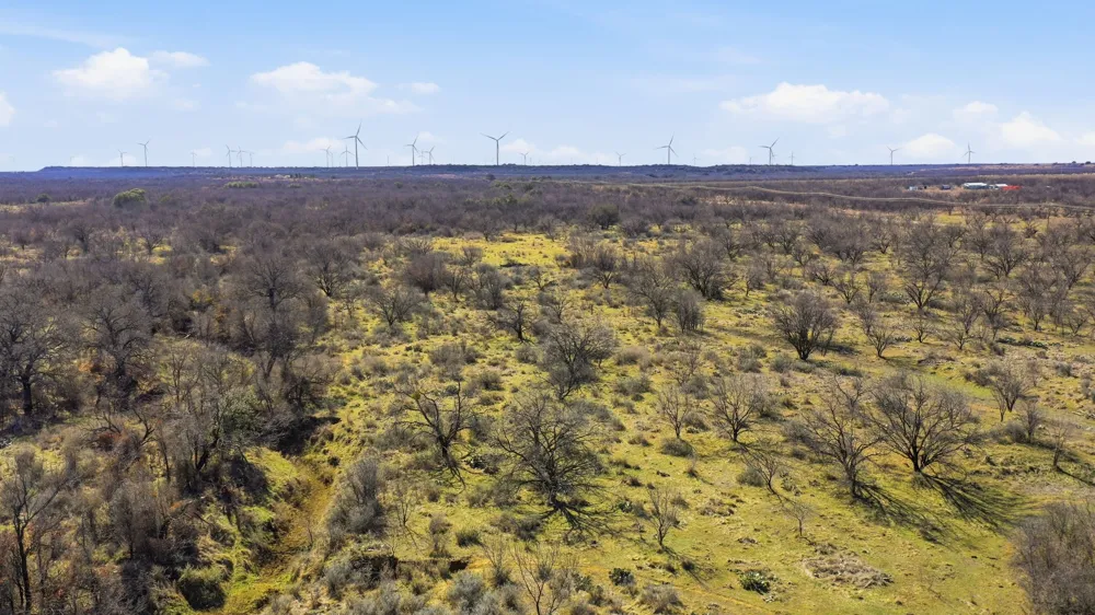 FM 880 Moran, TX 76464
