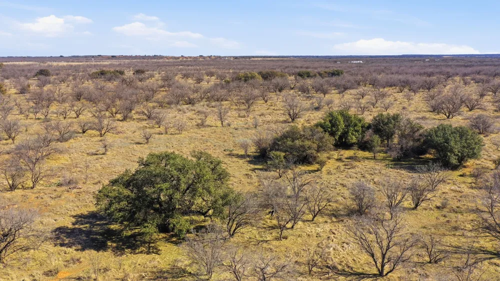 FM 880 Moran, TX 76464