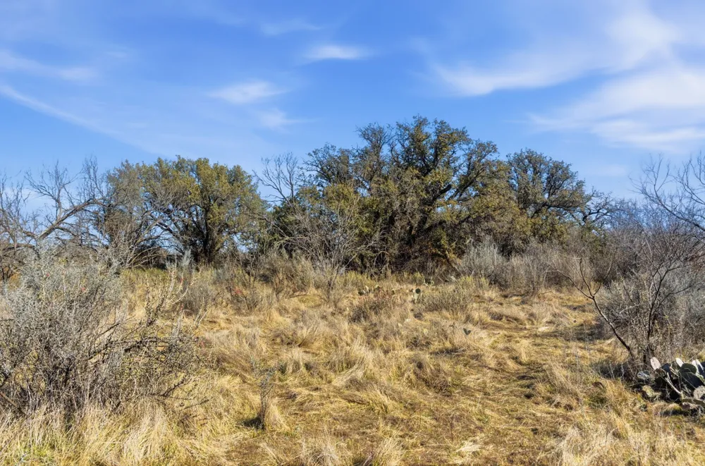 FM 880 Moran, TX 76464