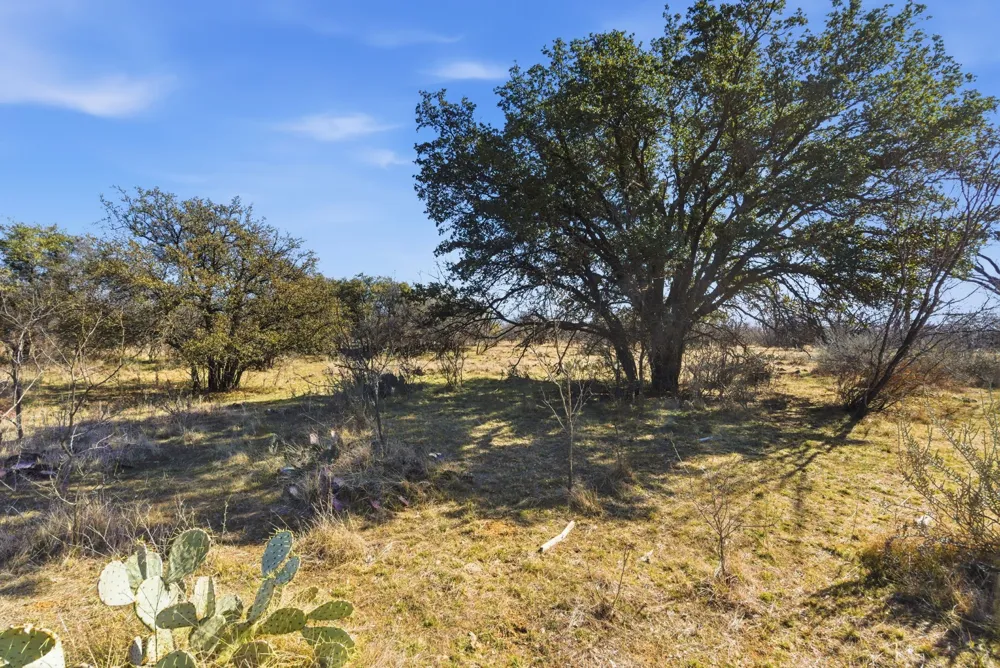 FM 880 Moran, TX 76464