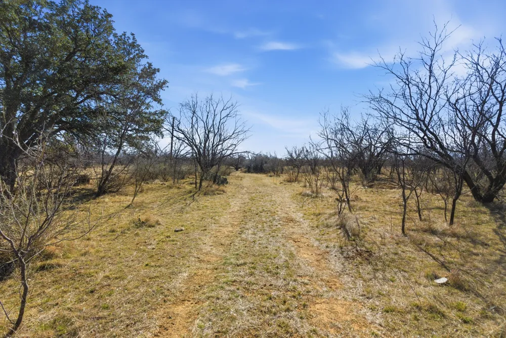 FM 880 Moran, TX 76464