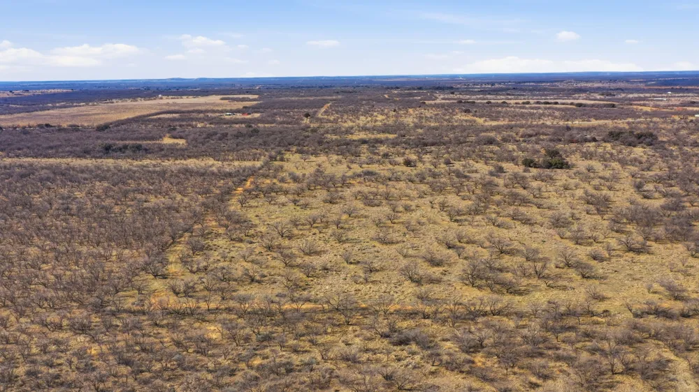 FM 880 Moran, TX 76464