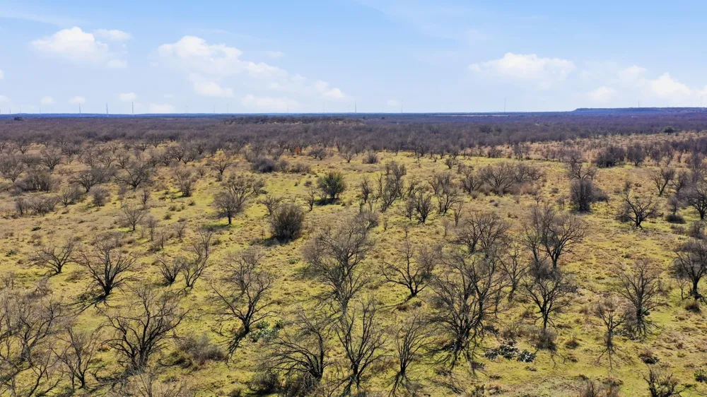 FM 880 Moran, TX 76464