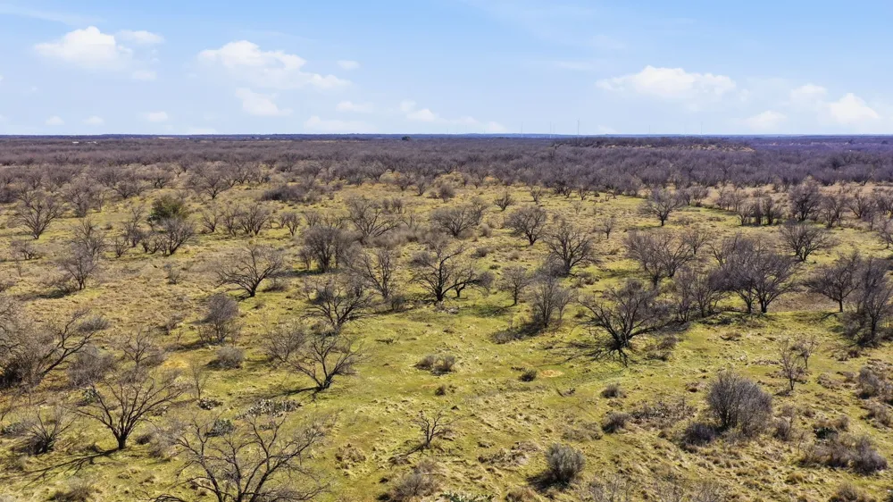 FM 880 Moran, TX 76464