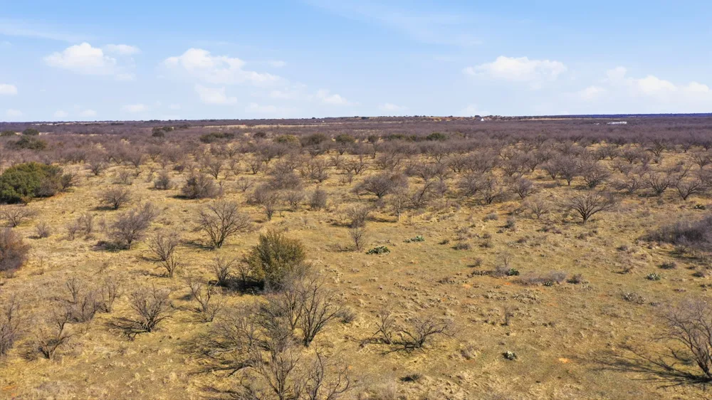 FM 880 Moran, TX 76464