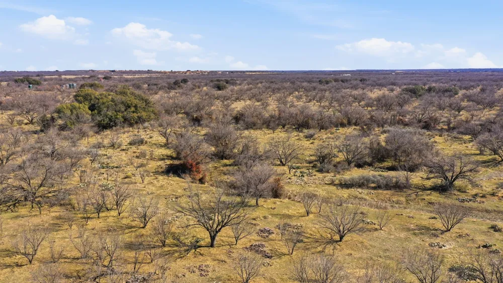 FM 880 Moran, TX 76464