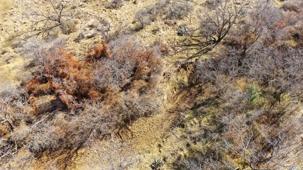 FM 880 Moran, TX 76464