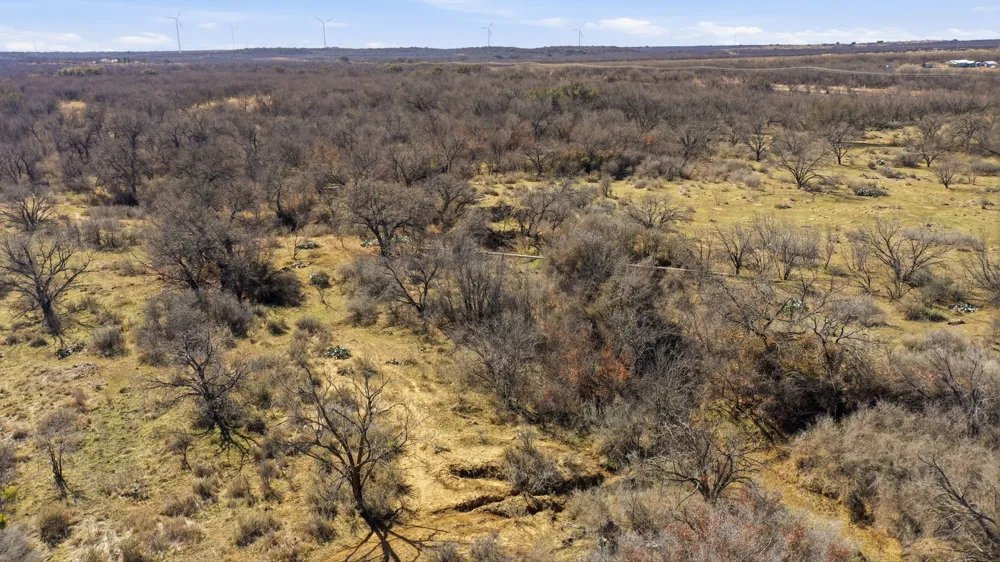 FM 880 Moran, TX 76464