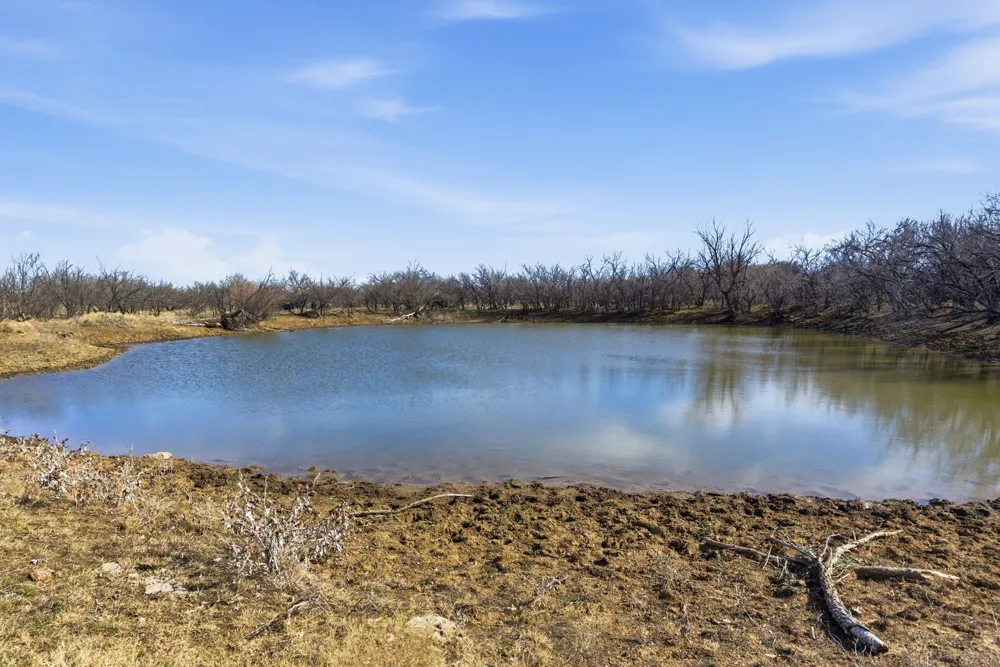 FM 880 Moran, TX 76464