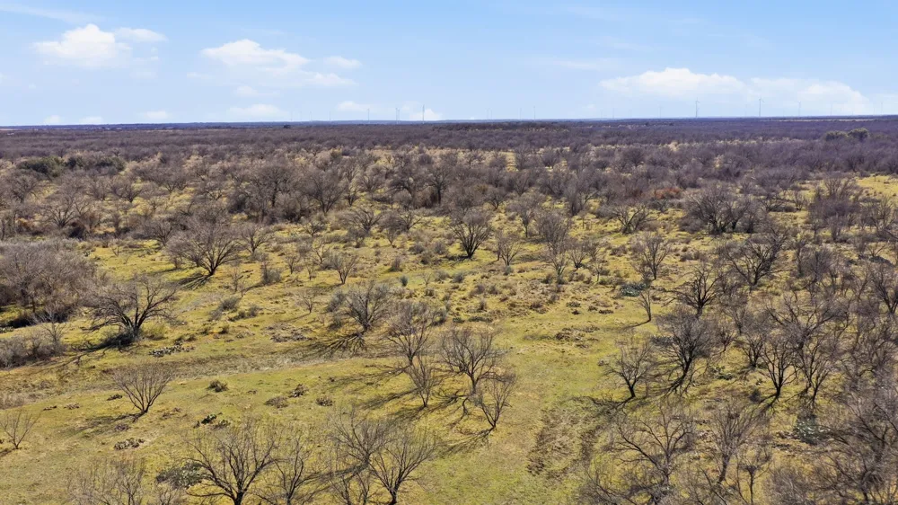 FM 880 Moran, TX 76464