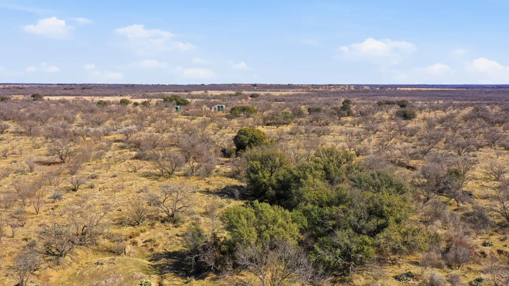 FM 880 Moran, TX 76464