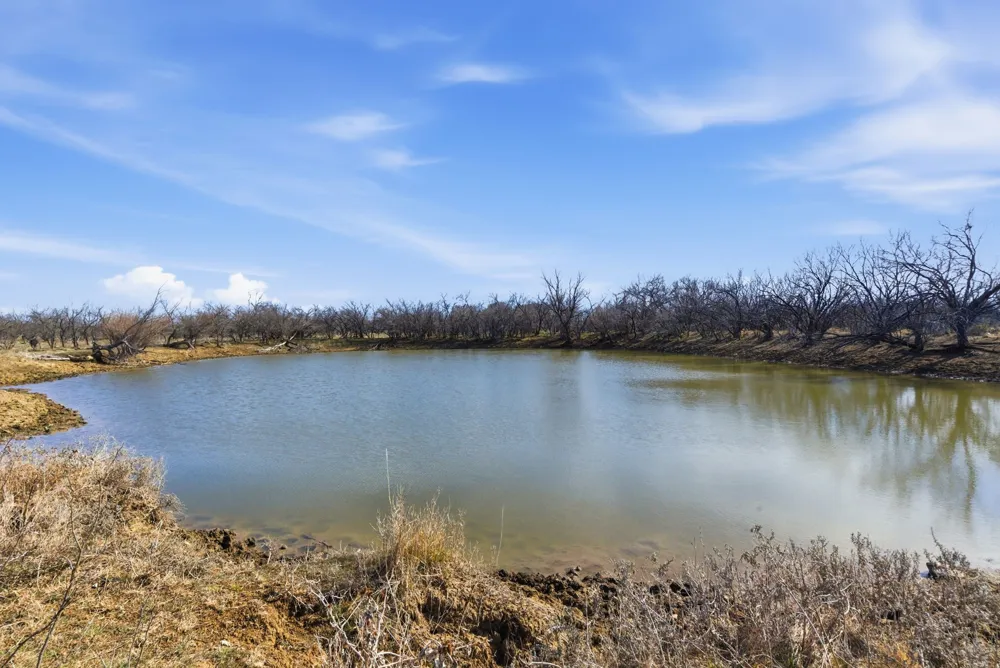 FM 880 Moran, TX 76464