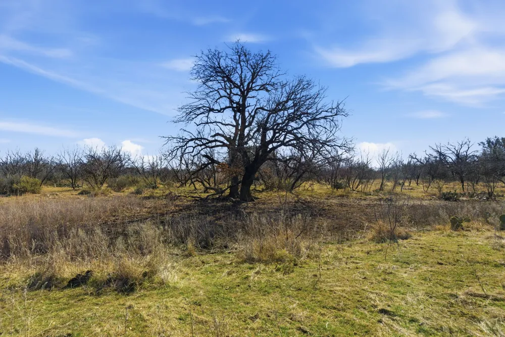 FM 880 Moran, TX 76464